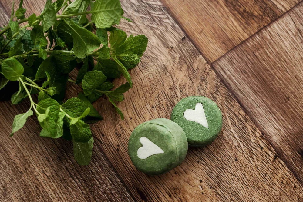 Mydlove - Tuhý šampón s jemnou mätou a aloe vera