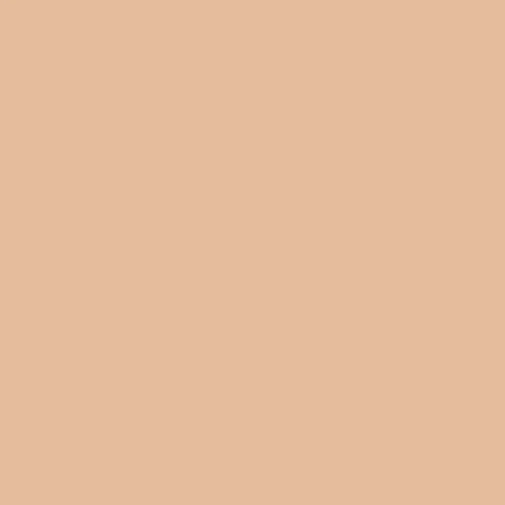 ZAO - Make-up Pro'Fusion 855 Medium tan