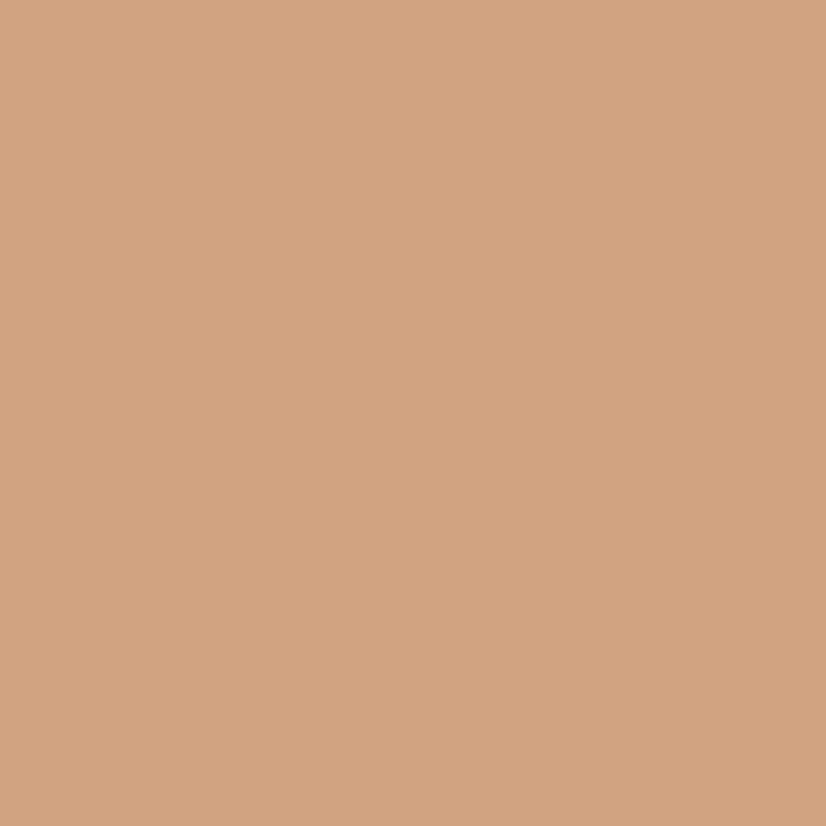 ZAO - Make-up Pro'Fusion 856 Hazelnut tan