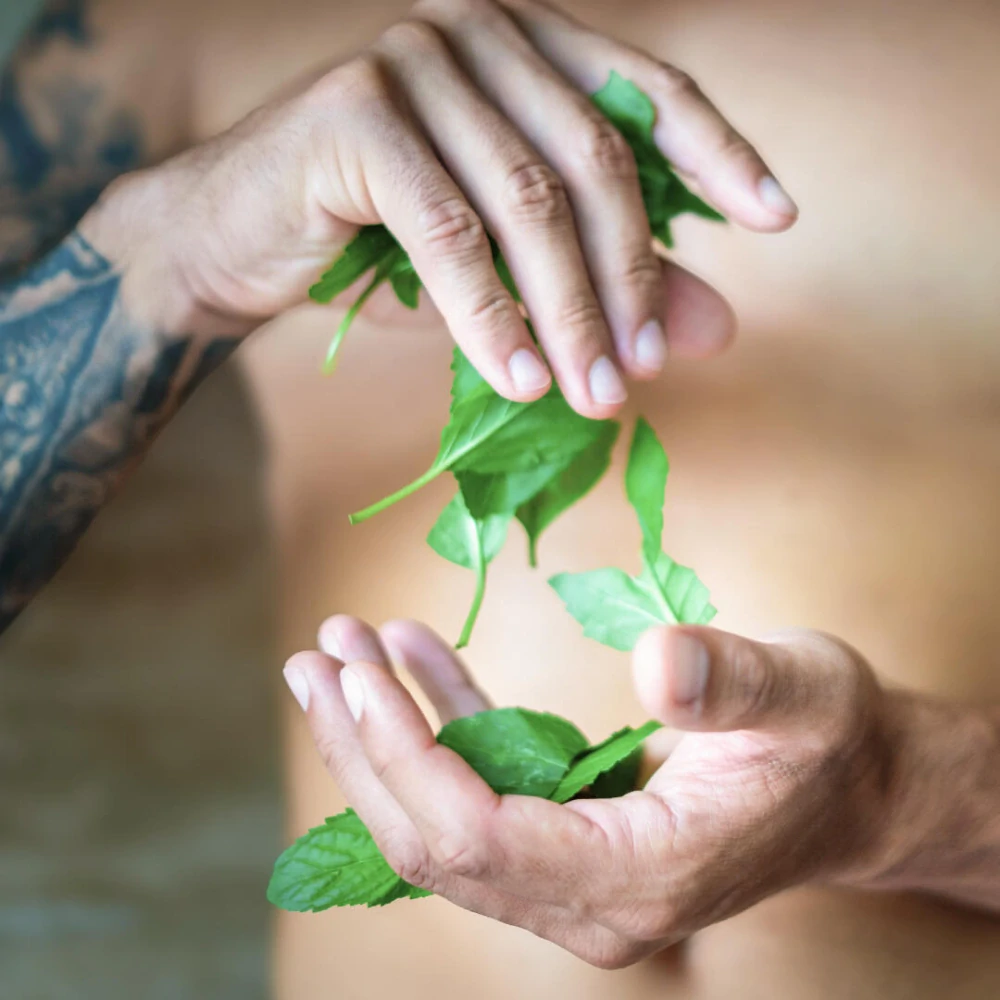 Tierra Verde - Sprchový gél 3 v 1 pre mužov Energia mäty (fľaša 500 ml)