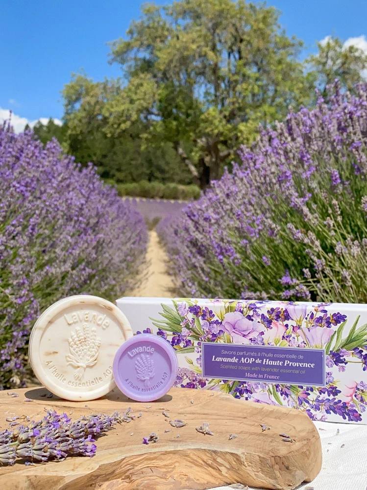 Esprit Provence - Tuhé mydlo s mydelničkou - Čerešňový kvet, 100g