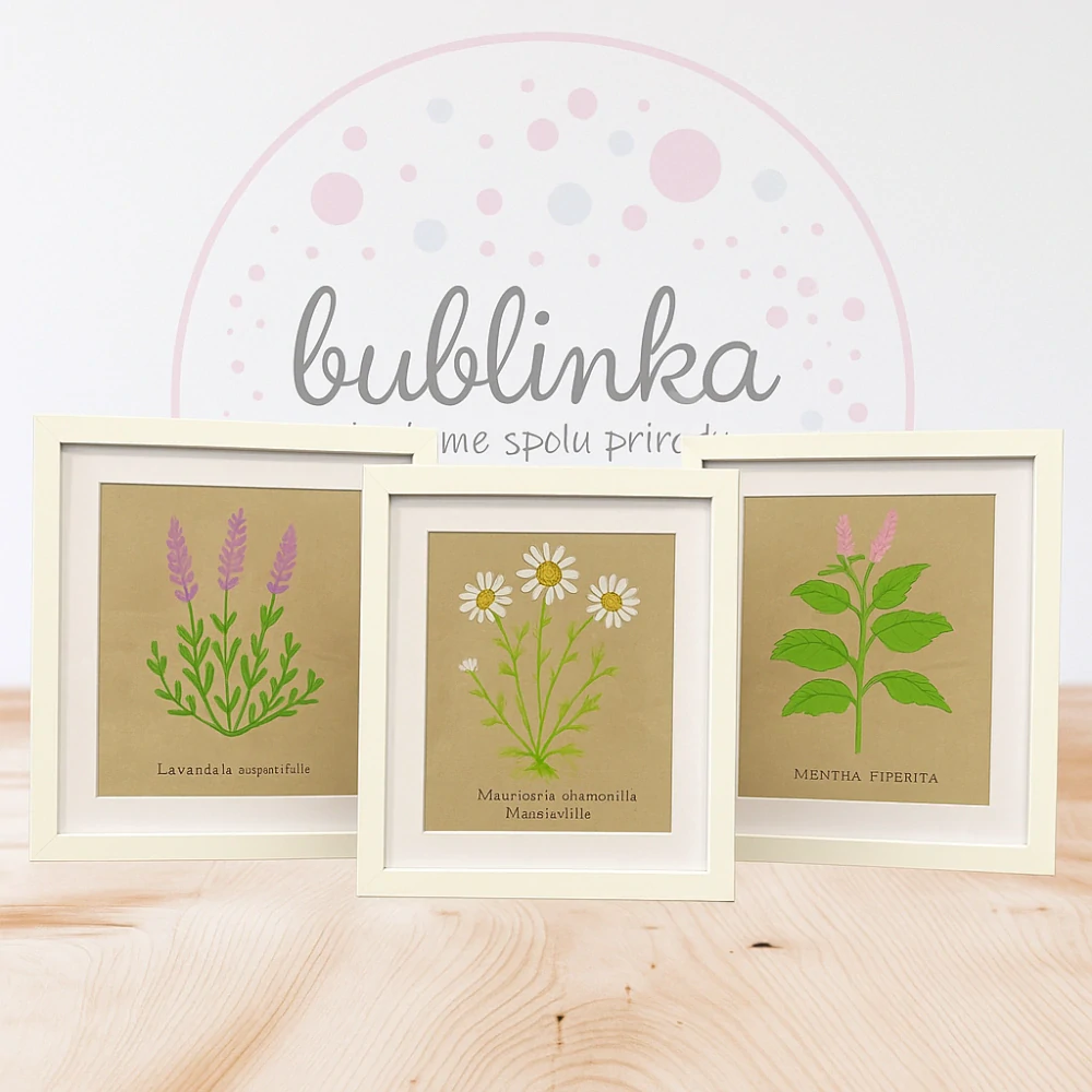 Hand - made - Obraz Mätová harmónia