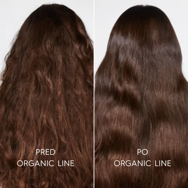 Voono - Šampon pre suché, poškodené a vlnité vlasy ORGANIC LINE