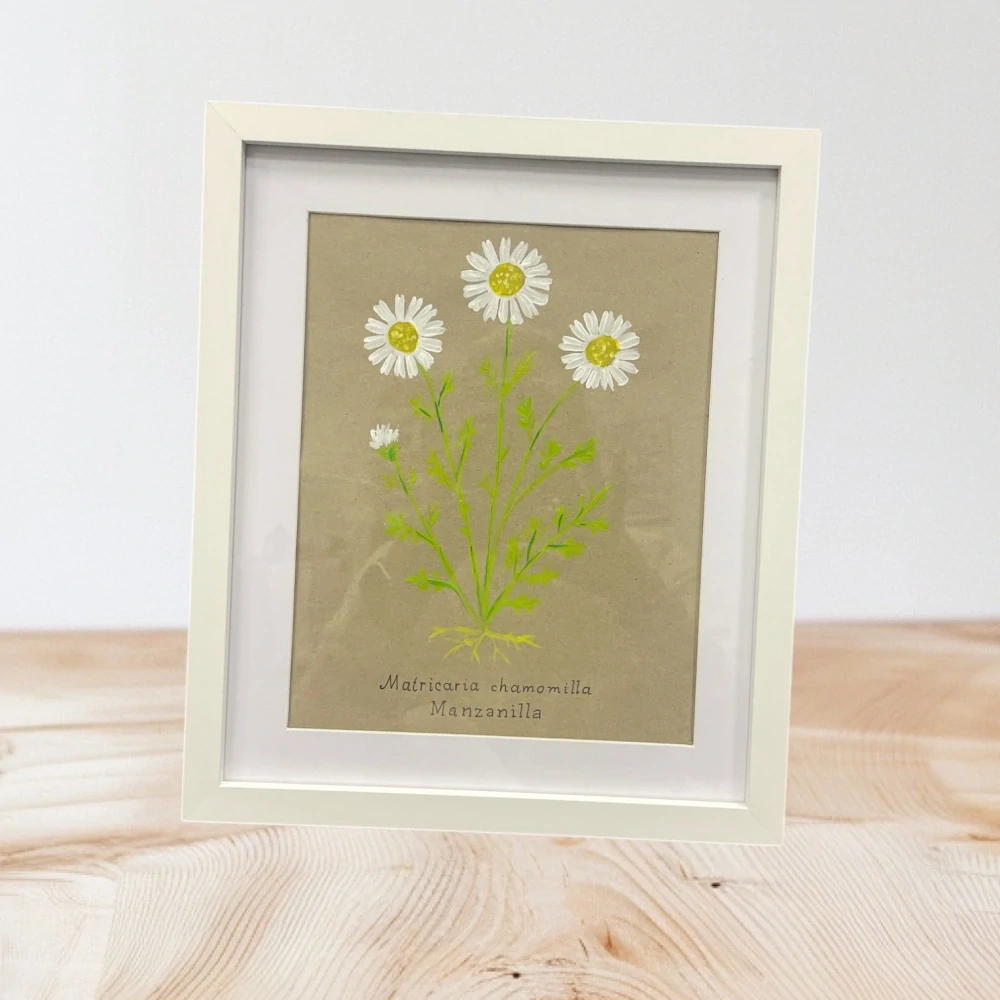 Hand - made - Obraz Mätová harmónia