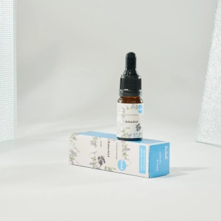 Kvitok - Pleťové sérum – Bakuchiol 10ml