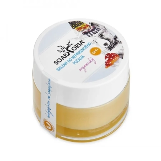 Soaphoria - Organický balzam do nepriaznivého počasia